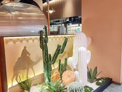 -塔哈尔·新疆盛宴(复地活力城店)