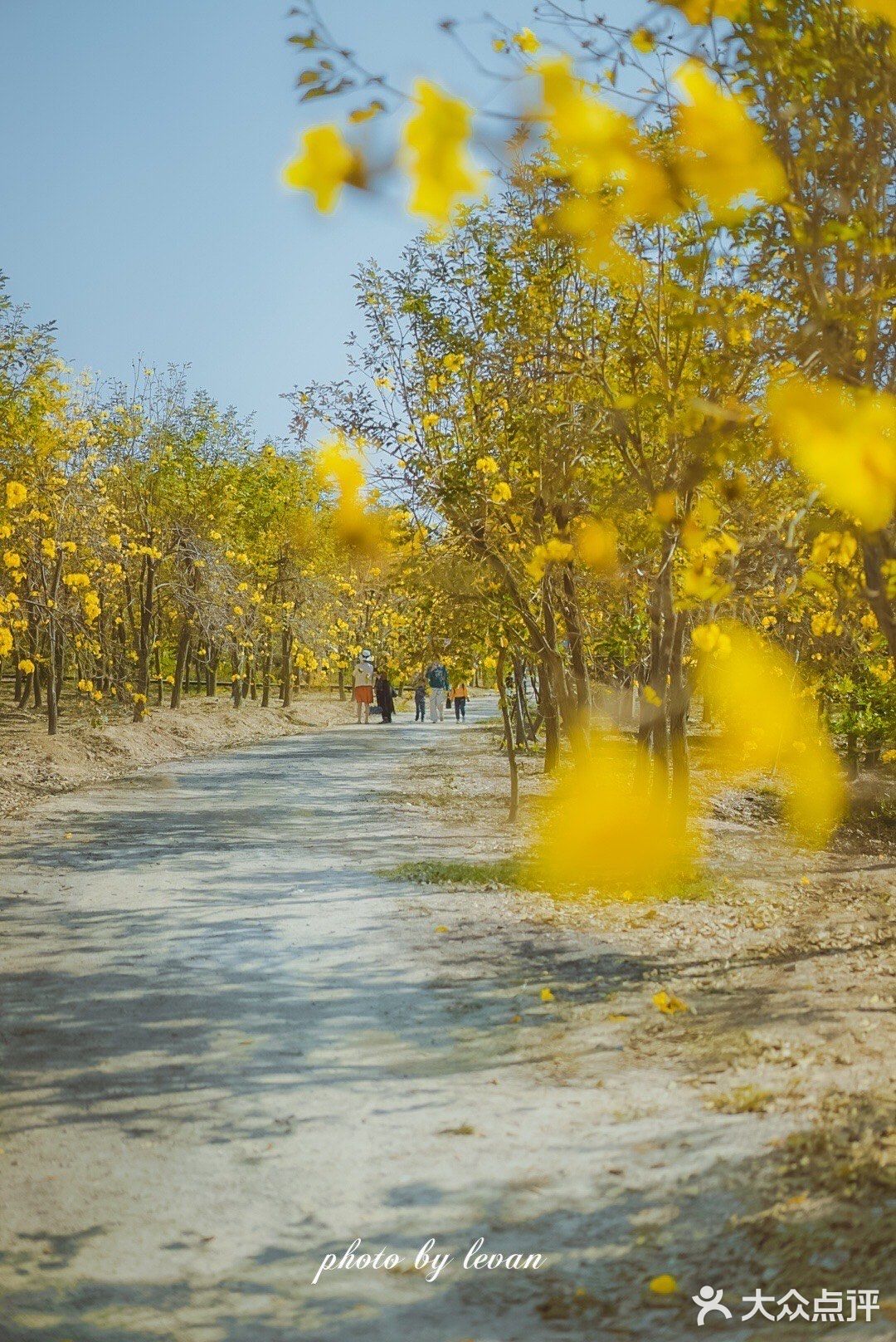 惠州周边游｜春节快乐的好去处[调皮]