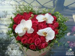 DSC00631-金庭庄园酒店彩虹厅