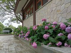 -金银湖国家城市湿地公园