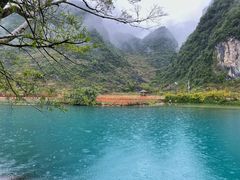 -靖西鹅泉风景区