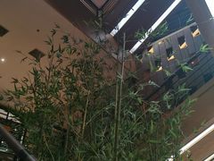 -汤森悠生活文化汤(江宁万达店)
