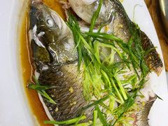 清蒸鲩鱼-银峰农庄·特色烧鸡·鲜无花果浸鸡