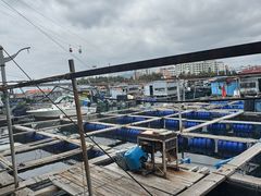 -蓝湾碧波·老字号·疍家非遗海上餐厅