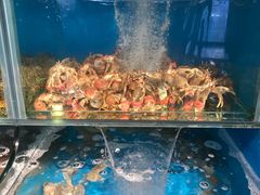 -海味当家·蒸锅海鲜(星海公园店)
