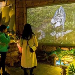 -恐龙探索乐园(磁器口店)