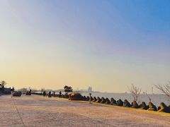-上海滨江森林公园