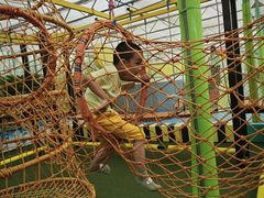 -南宫五洲植物乐园