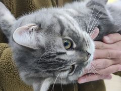 -半天妖烤鱼(方庄店)