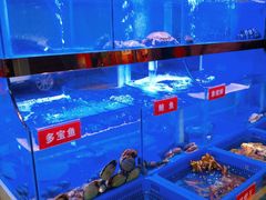 -小龍鳳·港式海鲜打边炉(沙湖路店)