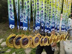 -梧桐山风景名胜区