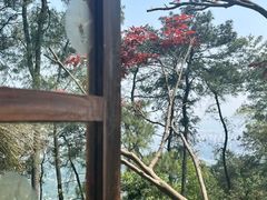 -南山植物园
