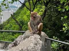 -黔灵山公园