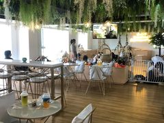 -Husky Go! 哈士奇体验馆·宠物咖啡厅狗咖