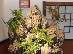 -成老灶火锅鸡(平山店)