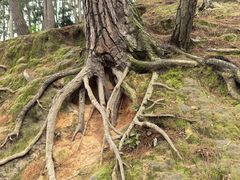 -杭州半山国家森林公园