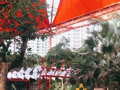 -三亚千古情景区游客中心-接待中心