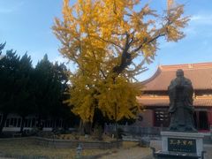 -苏州文庙(姑苏区)