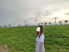 -羚羊峡古栈道森林公园