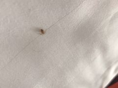 -太湖湾开元名庭大酒店