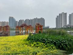 -大小河街
