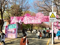 -吉林大学(南岭校区)