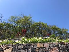 -佛手湖郊野公园