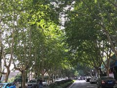 -浙江大学(玉泉校区)