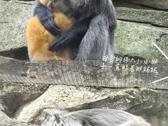 -南宁市动物园