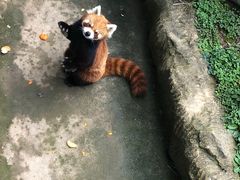 -南昌动物园