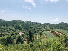 -军营村