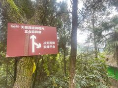 -天眼洞·花岭风景区