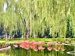 -石家庄市动物园