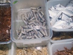-福建美食城(老君堂店)