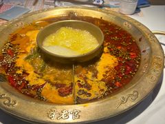 -哥老官重庆美蛙鱼头(日月光店)