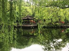 -浙江西子宾馆·牡丹厅
