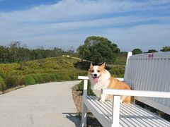 -花开海上生态园