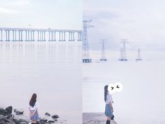 -宝安西湾红树林湿地公园