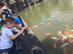 -东部华侨城