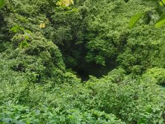 -海口火山口国家地质公园