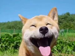 -博串堂(明发商业广场店)