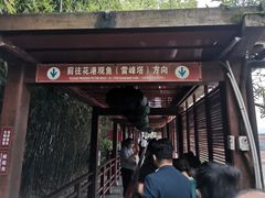 -西湖外事游船(花港观鱼码头)