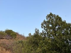 -北京十三陵国家森林公园蟒山景区