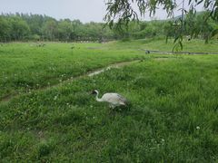 -哈尔滨北方森林动物园