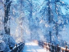-瓦屋山景区