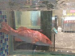 -方鼎食府