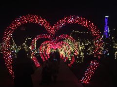 -祥源·阜阳生态乐园