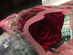 -慢丽江·云南野生菌土鸡锅(付家庄店)