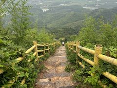 -冶父山国家森林公园