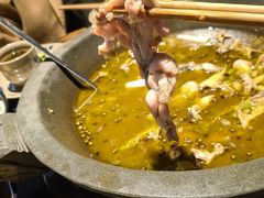 -石锅苗苗鱼(武汉首店)